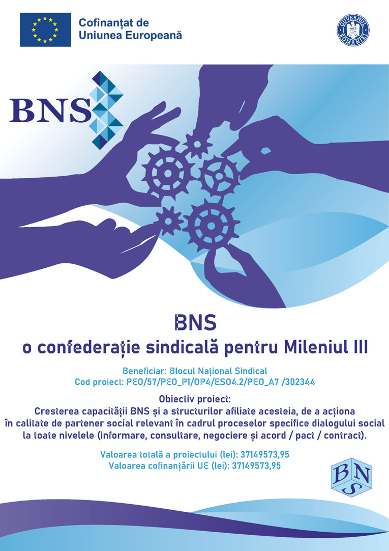 BNS M3 Poster Afis proiect v1