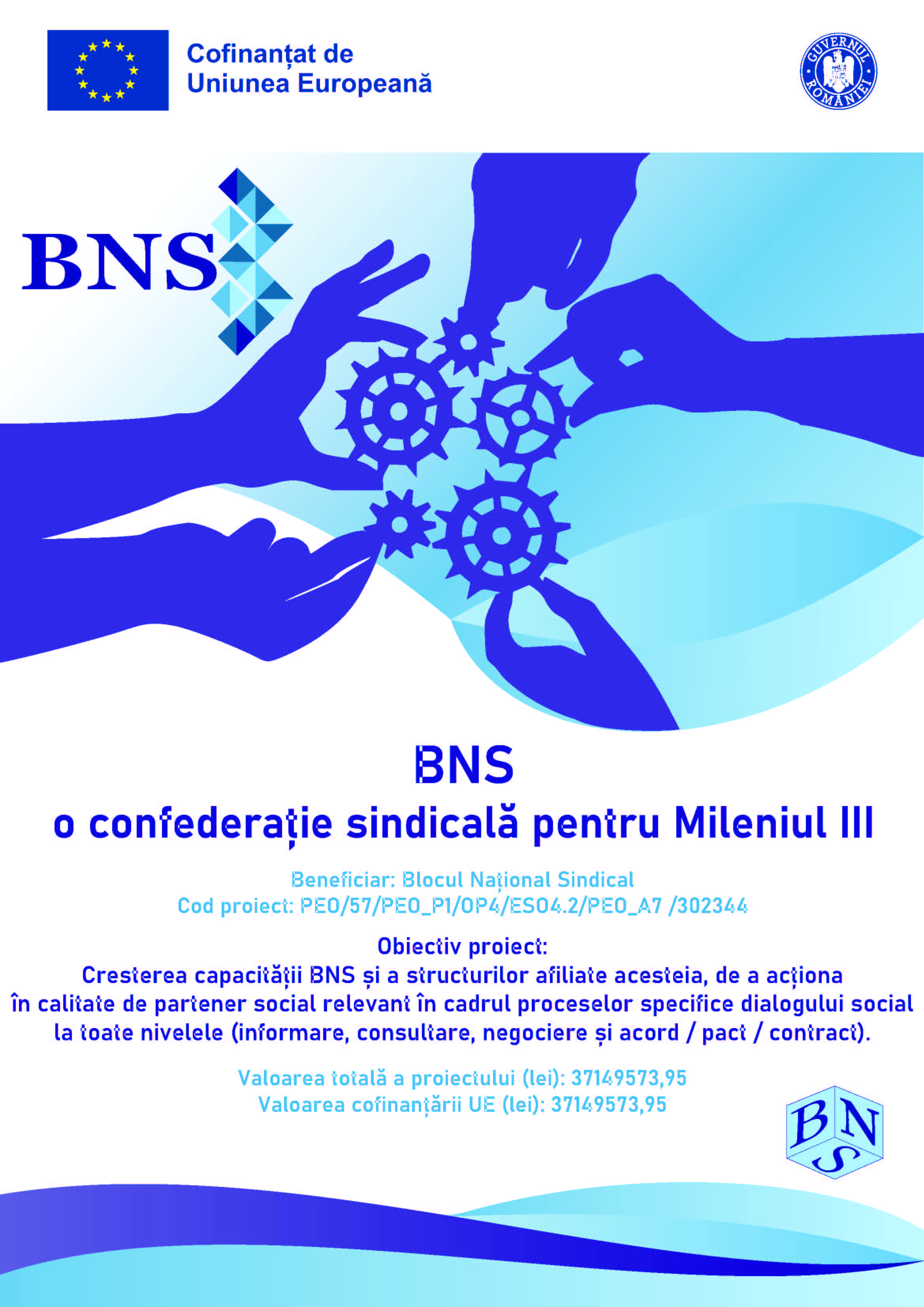 BNS M3 Poster Afis proiect v1