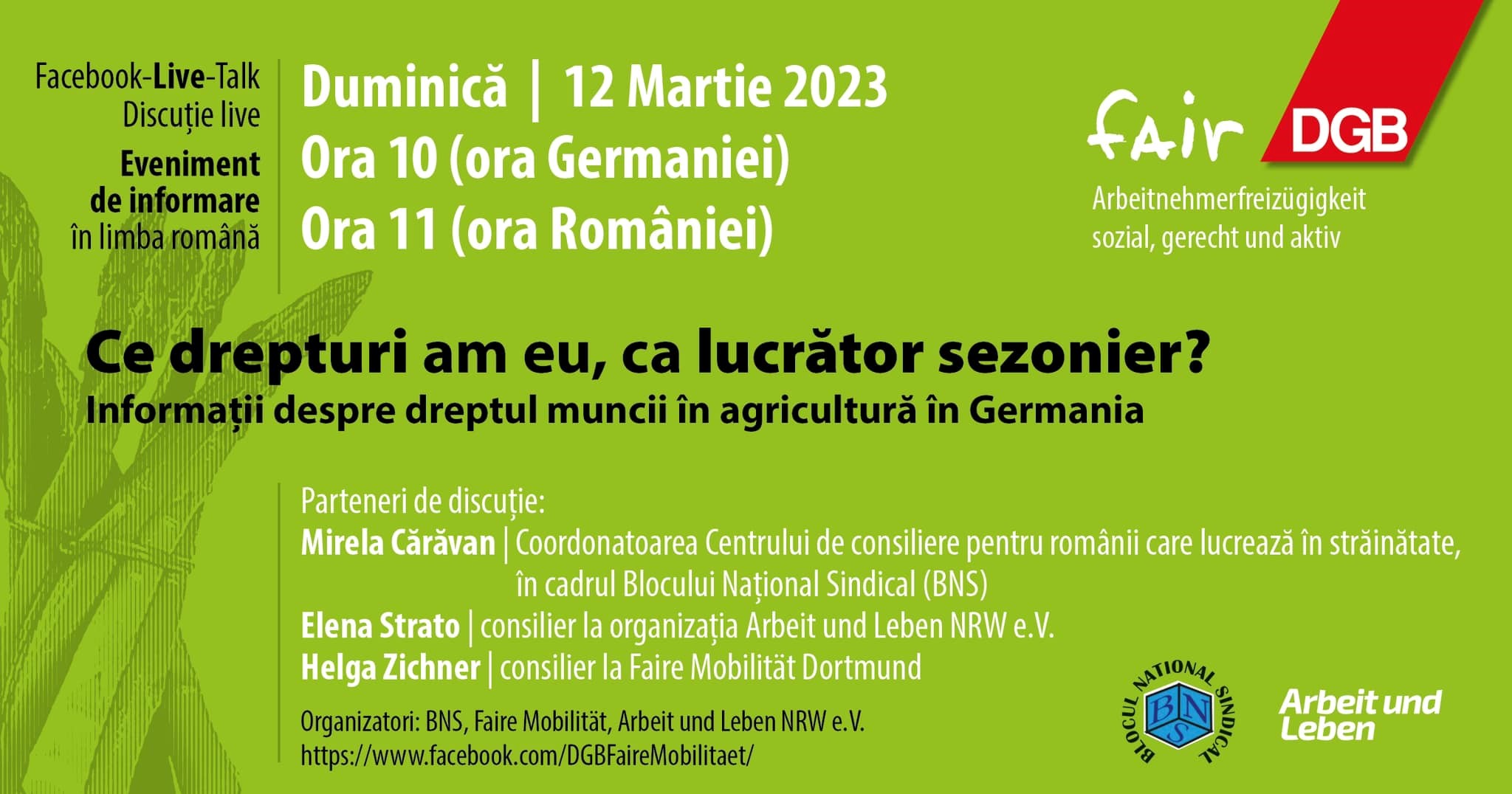 Duminică, 12 martie 2023, ora 11.00 - Sesiune de informare dedicată lucrătorilor români din Germania